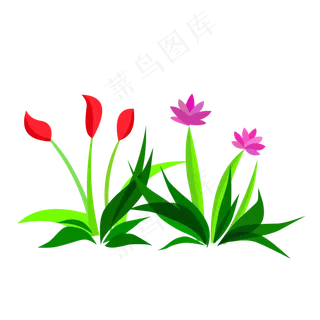 卡通草花