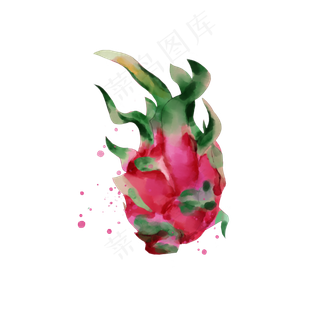 夏天夏日水果水彩红色火龙果手绘