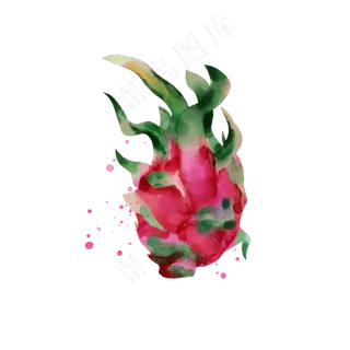 夏天夏日水果水彩红色火龙果手绘