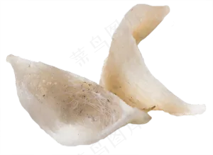 燕窝补品,免抠元素