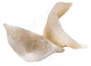 燕窝补品,免抠元素