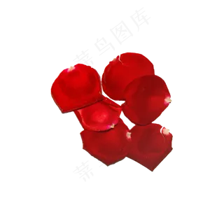 玫瑰花瓣实拍（png免抠）