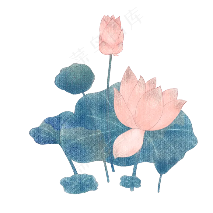 夏季荷花荷叶(2000X2000(DPI:300))psd模版下载
