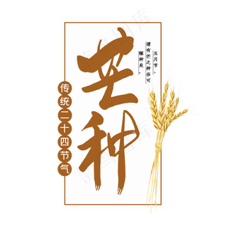 芒种二十四节气