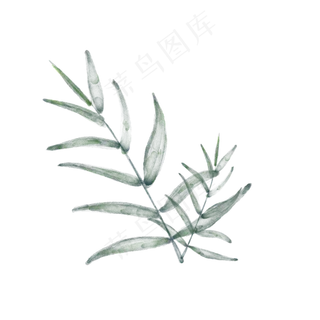 手绘水彩叶子素材