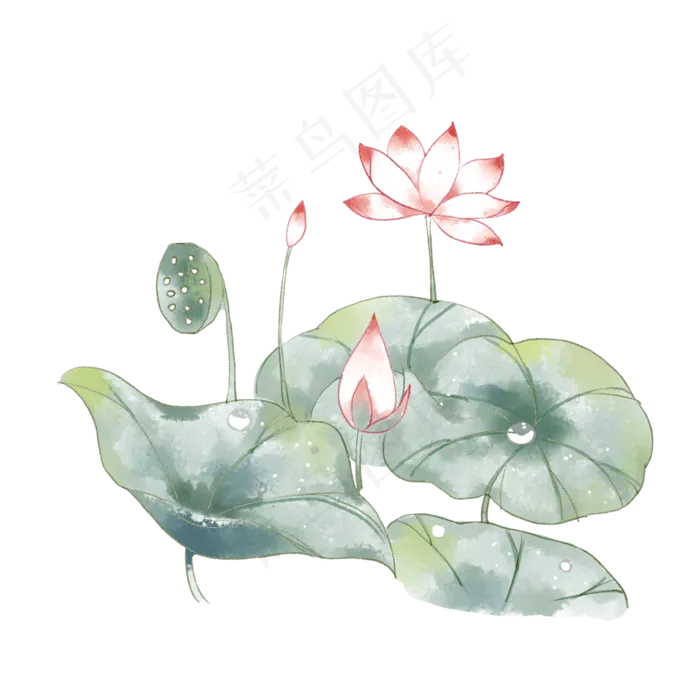 荷花免抠(2000X2000(DPI:299))psd模版下载