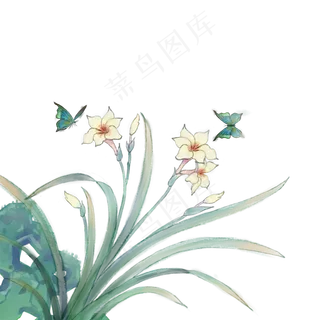 手绘水彩小清新水仙花,免抠元素