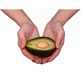 实拍人工采摘果树果实