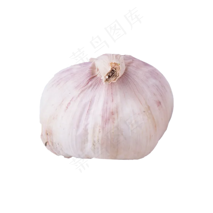 大蒜实拍（png免抠）(2000X2000(DPI:72))psd模版下载