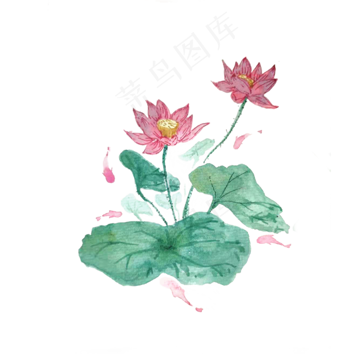 荷花红色鲤鱼池塘莲花PNG(2000X2000(DPI:200))psd模版下载