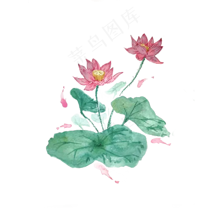 荷花红色鲤鱼池塘莲花PNG(2000X2000(DPI:200))psd模版下载
