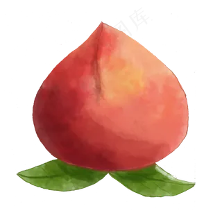 手绘夏季水果桃子png 手绘夏季水果桃子png