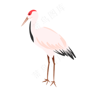 中国风凝视凤舞仙鹤