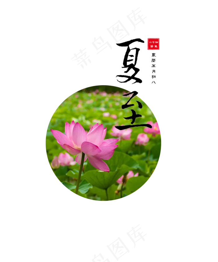 夏至节气莲花(2500X3000(DPI:300))psd模版下载