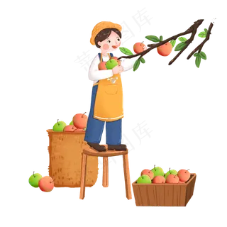 秋季丰收板凳上摘苹果的男青年