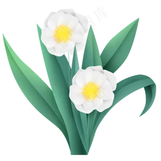 立体白花和叶子