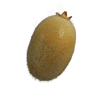 仿真秋冬水果png图