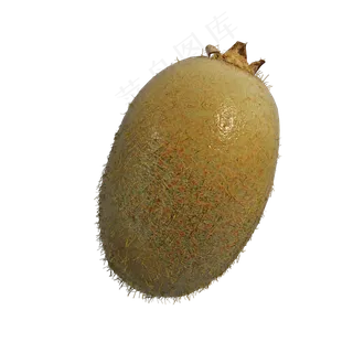 仿真秋冬水果png图