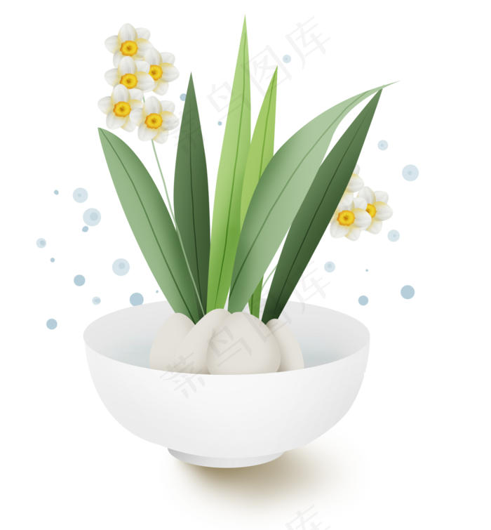 古风美丽的水仙花