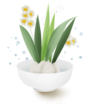 古风美丽的水仙花