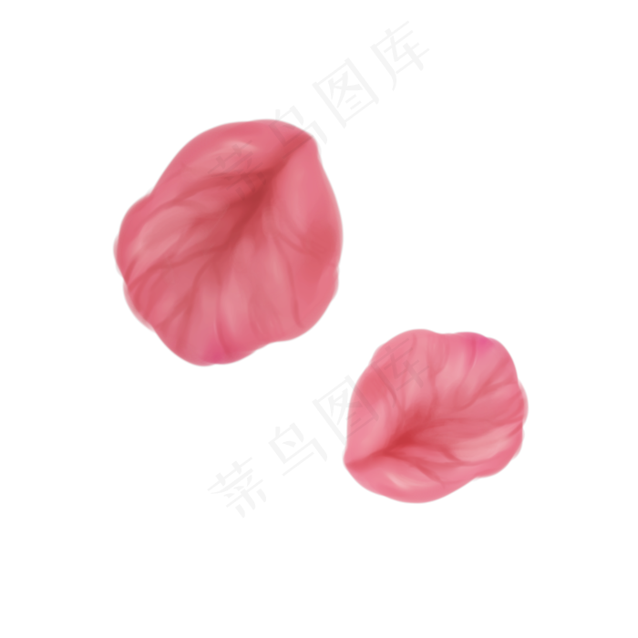 红色玫瑰花瓣(2000X2000(DPI:300))psd模版下载