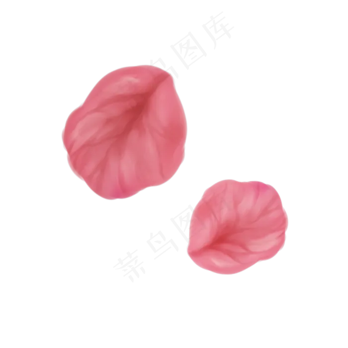 红色玫瑰花瓣(2000X2000(DPI:300))psd模版下载