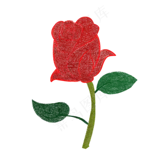 情人节玫瑰花png
