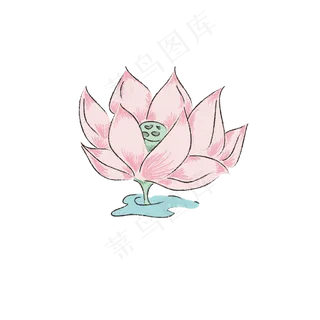 可爱清新手绘荷花