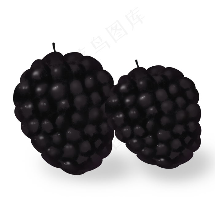 黑色清新夏季水果桑椹
