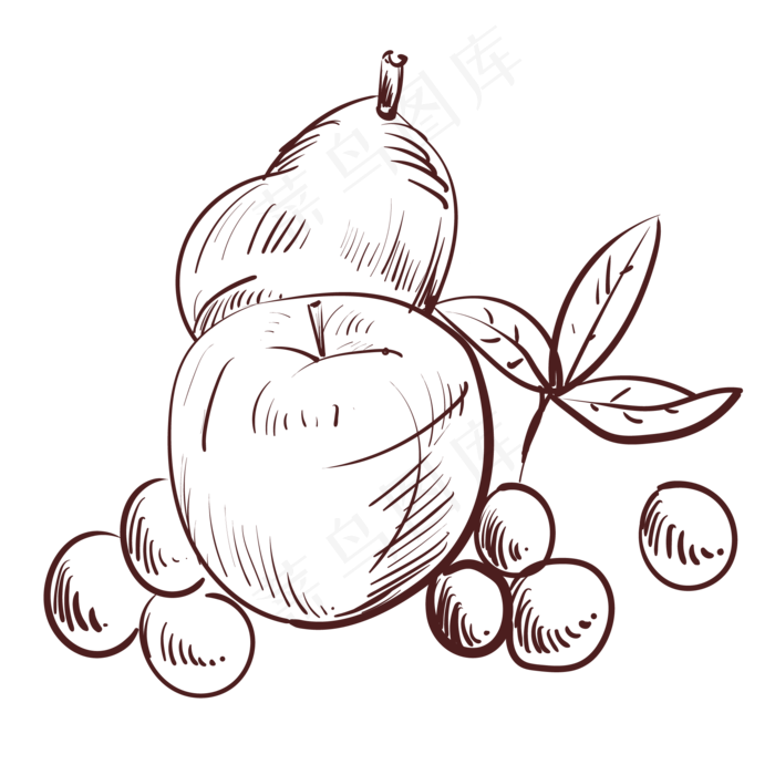 线描新鲜食物水果(2000X2000(DPI:300))ai矢量模版下载