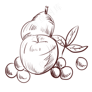 线描新鲜食物水果