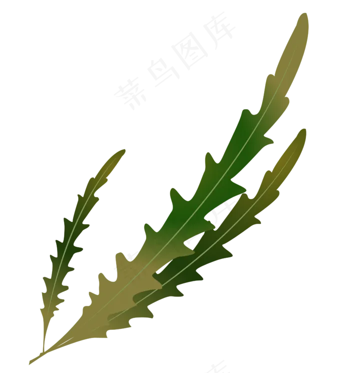 三片树叶植物叶子
