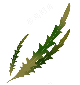 三片树叶植物叶子