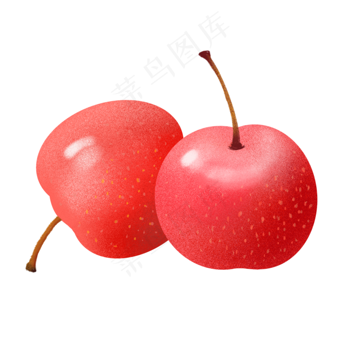 小清新食物手绘水果成熟山楂(2000X2000(DPI:300))psd模版下载