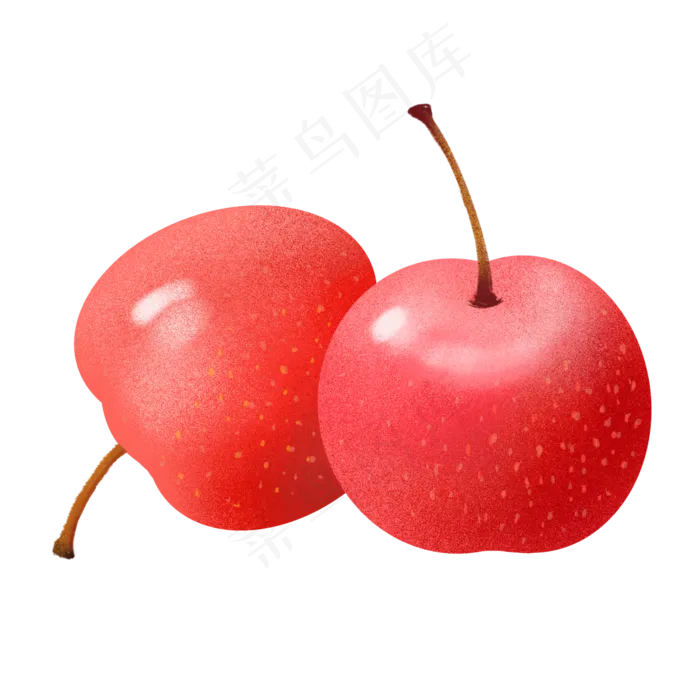小清新食物手绘水果成熟山楂(2000X2000(DPI:300))psd模版下载