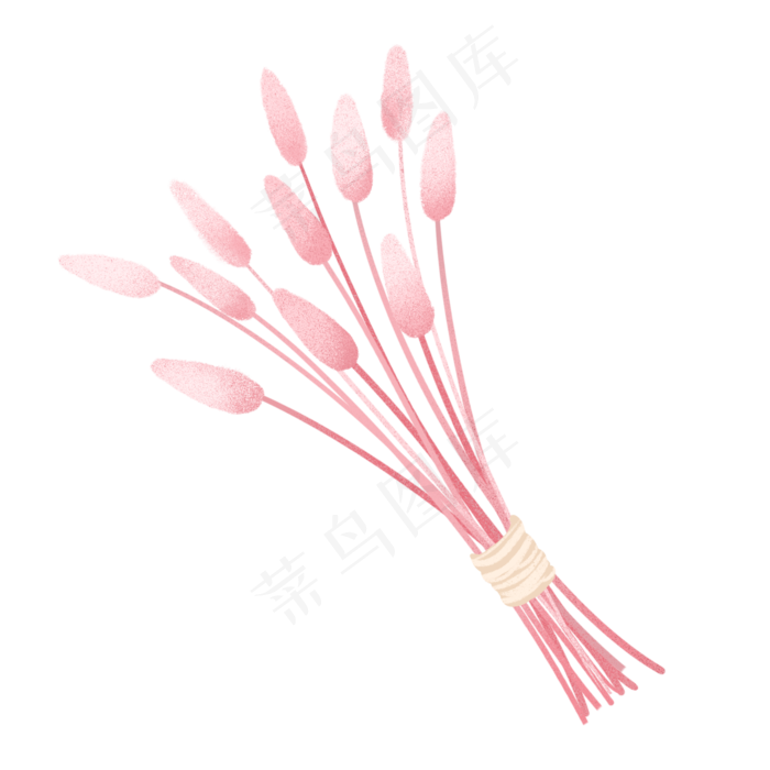 小清新手绘粉色兔尾巴草,免抠元素(2000X2000(DPI:300))psd模版下载