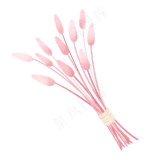 小清新手绘粉色兔尾巴草,免抠元素