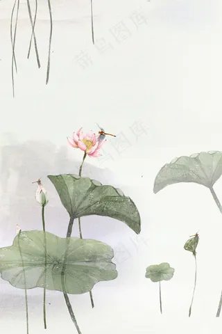 中国风夏日荷花商用图
