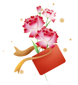 母亲节一束康乃馨