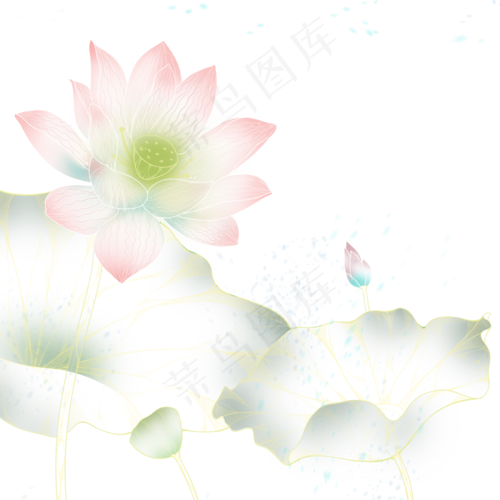 炫彩盛开的荷花免抠图