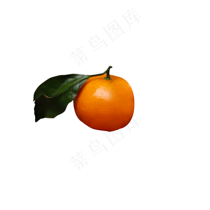 一个新鲜的小桔子(2000X2000(DPI:300))psd模版下载