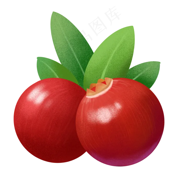手绘食物小清新水果仿真蔓越莓(2000X2000(DPI:300))psd模版下载