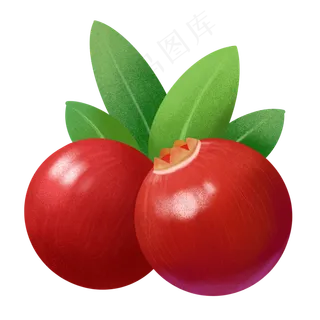 手绘食物小清新水果仿真蔓越莓