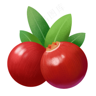 手绘食物小清新水果仿真蔓越莓