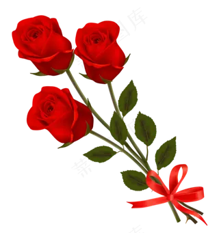 红色的玫瑰花