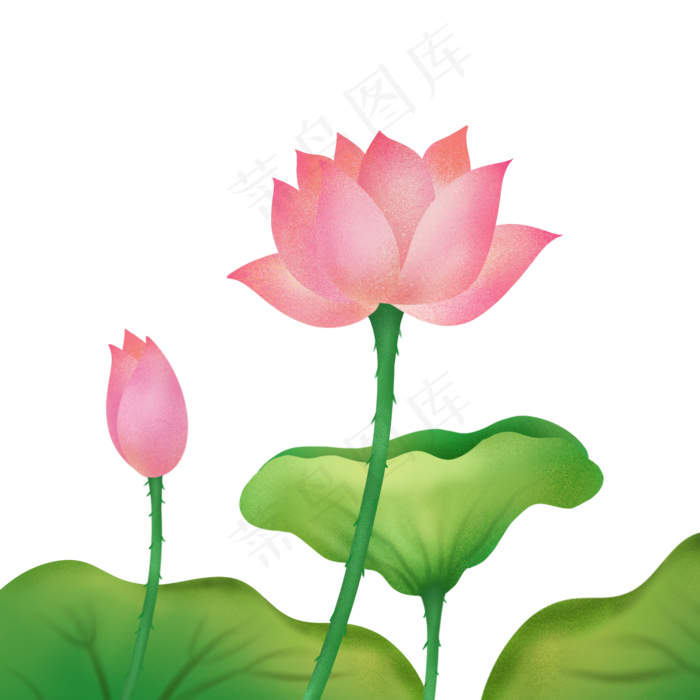 夏季荷花花朵png免抠图(2000X2000(DPI:300))psd模版下载