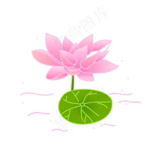 荷花季矢量手绘荷花