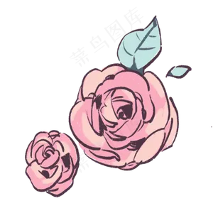 夏天夏日玫瑰写实