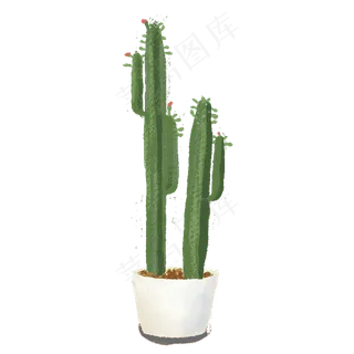手绘绿色植物仙人掌