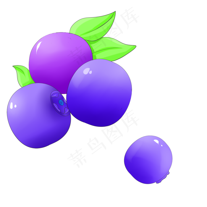 蓝莓水果卡通插画